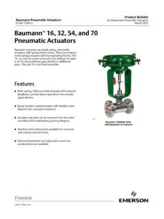 vklxyz|Fisher Baumann 气动执行机构 (Baumann Pneumatic Actuators).